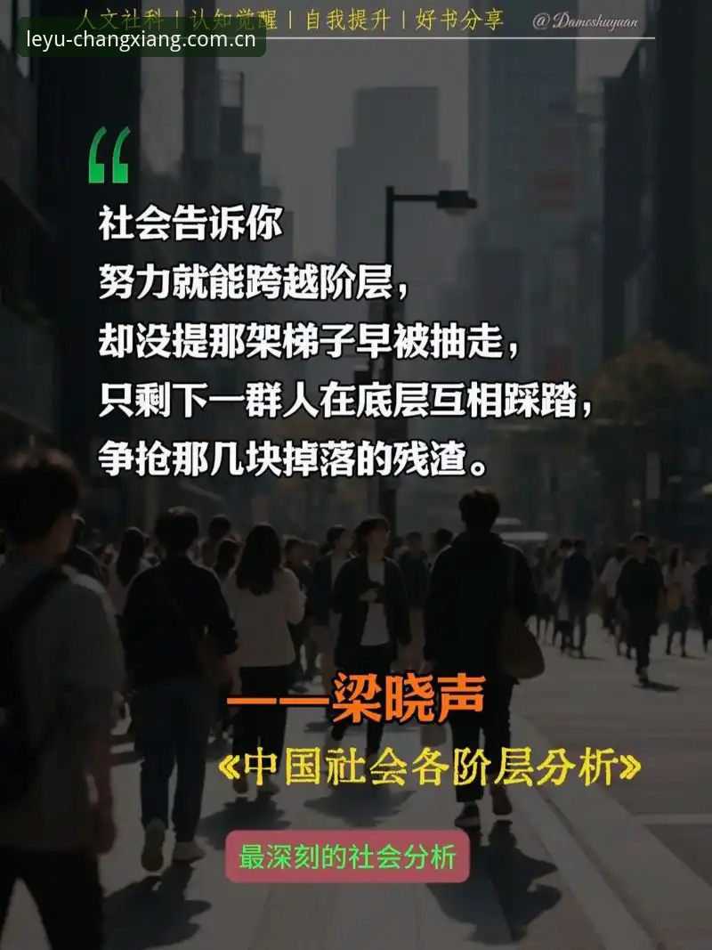 深度揭秘：2026乐鱼官网注册入口背后的极致体验真相